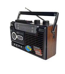 Radio Portbail Cu MP3 Player At Performance Caseta USB, Micro SD