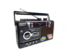 Radio Portbail Cu MP3 Player At Performance Caseta USB, Micro SD