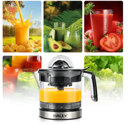 Storcător Electric Fructe și Legume HY-2905 – Panou Touch, Eficiență Ridicată, Zgomot Redus, Funcții Avansate, Design Modern